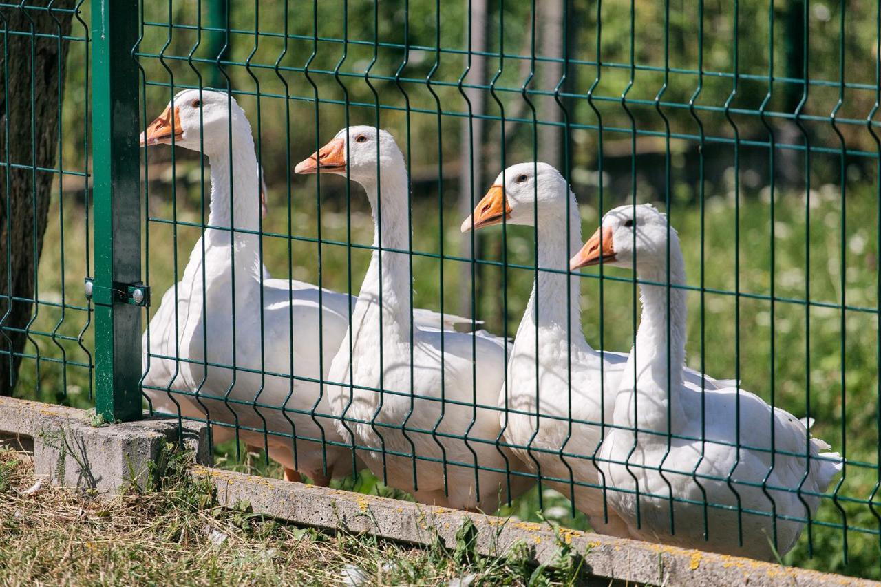 Hostinec U Hromadov - Ubytovanie V Sukromi Rajecka Lesna Dış mekan fotoğraf